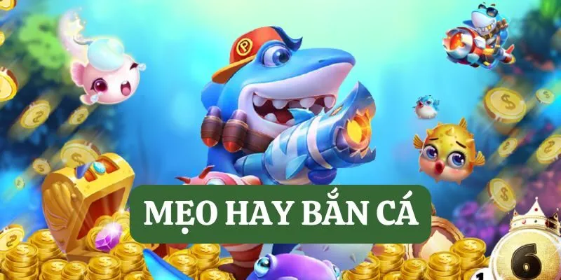 meo-hay-ban-ca